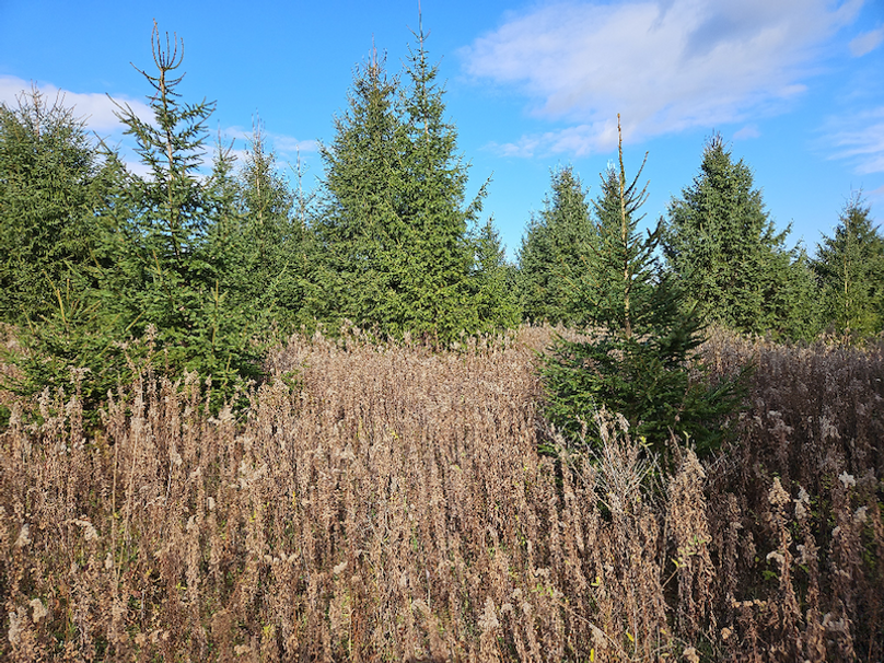 photo_41bb4949-1a0d-4b85-a0f8-b00ada15df6b