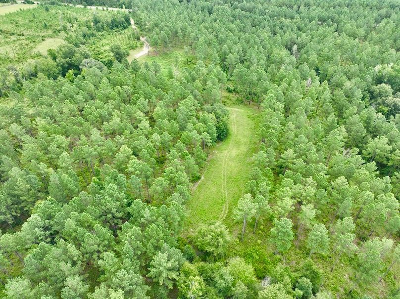 dji_fly_20240710_135214_545_1720634611814_photo