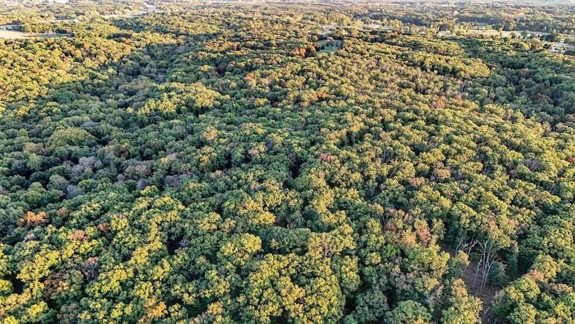 DJI_20251010173937_0027_D