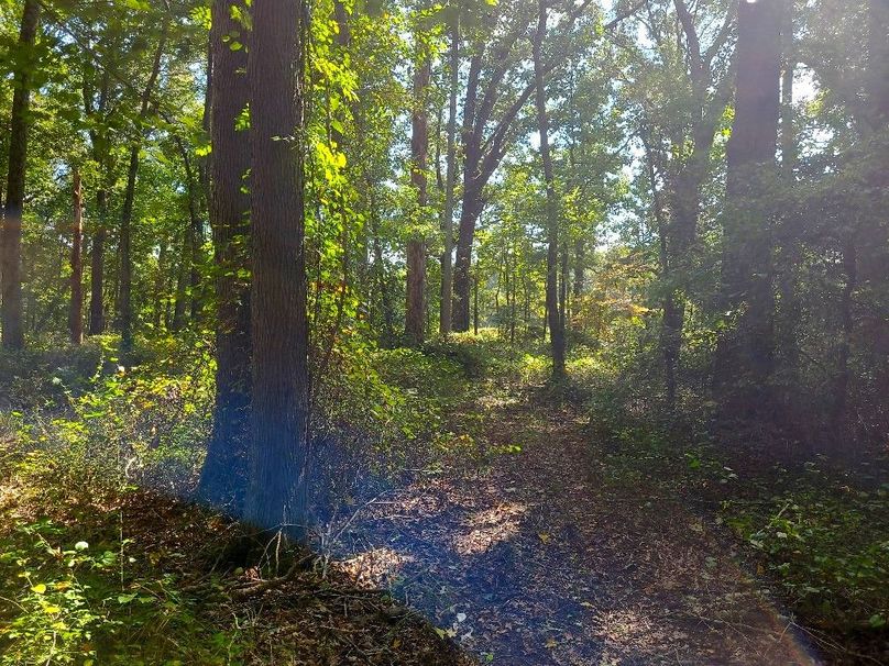 31.40ac_QAnnes_PIC_007