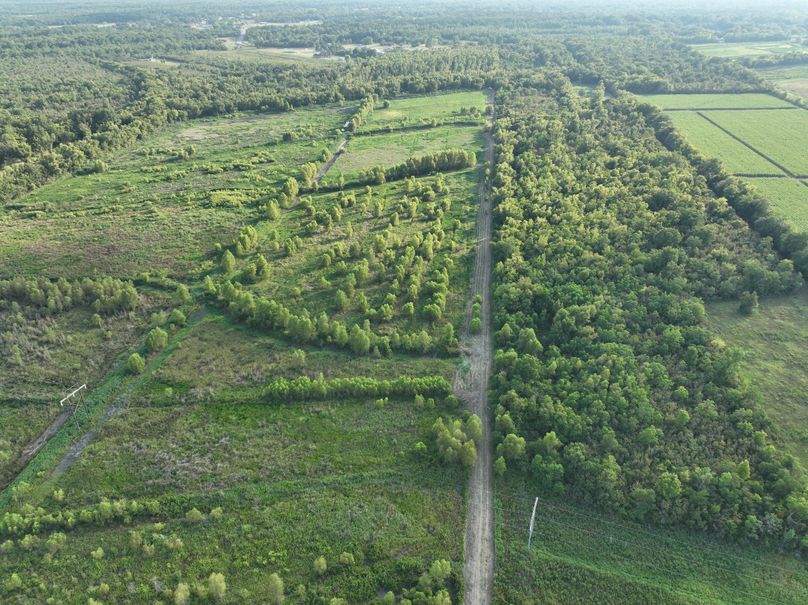 dji_fly_20230801_183956_252_1690975135790_photo