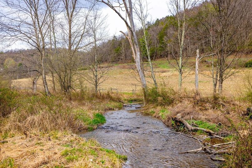 49-web-or-mls-IMG-49