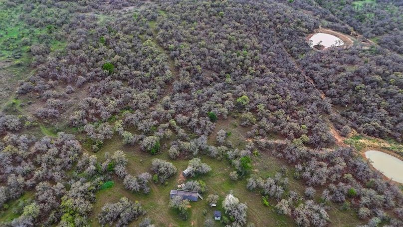 15. Overhead of Ponds and Cabin