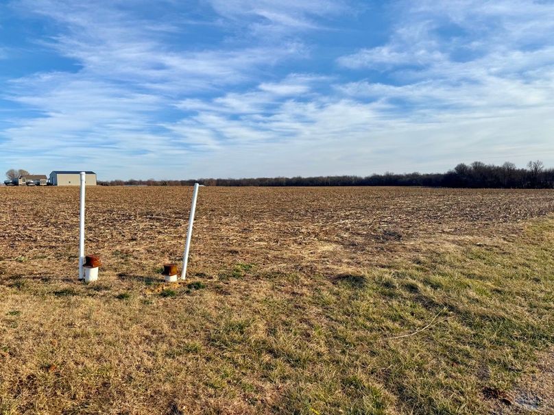 Copy of IMG_7194 Large