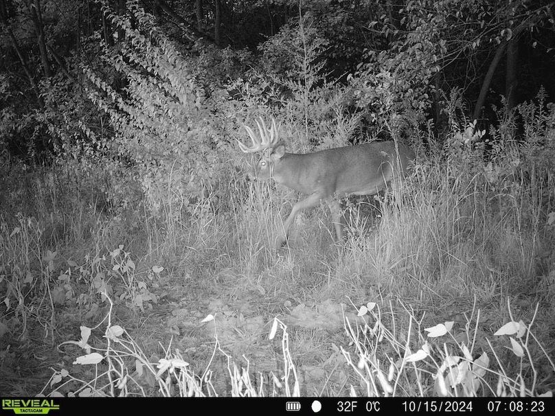 860322065657444-100-4-10152024144552-HD-SYFW1909