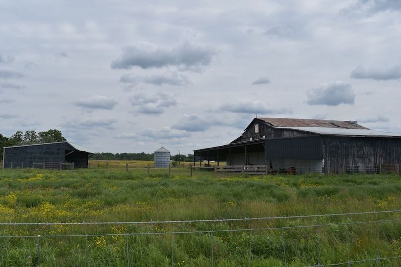 DSC_2588