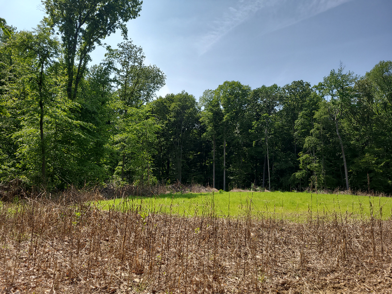 26.48ac_McKenneyLn_QAnnes_12