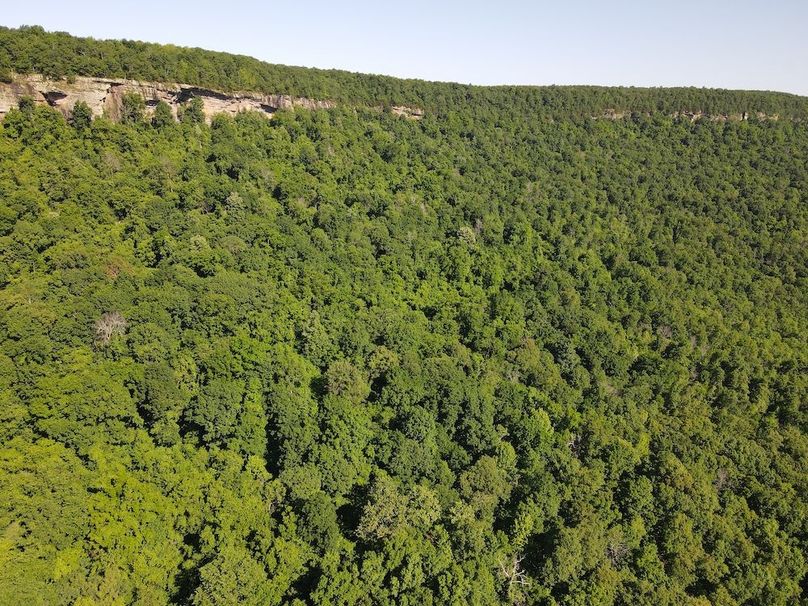 DJI_0423
