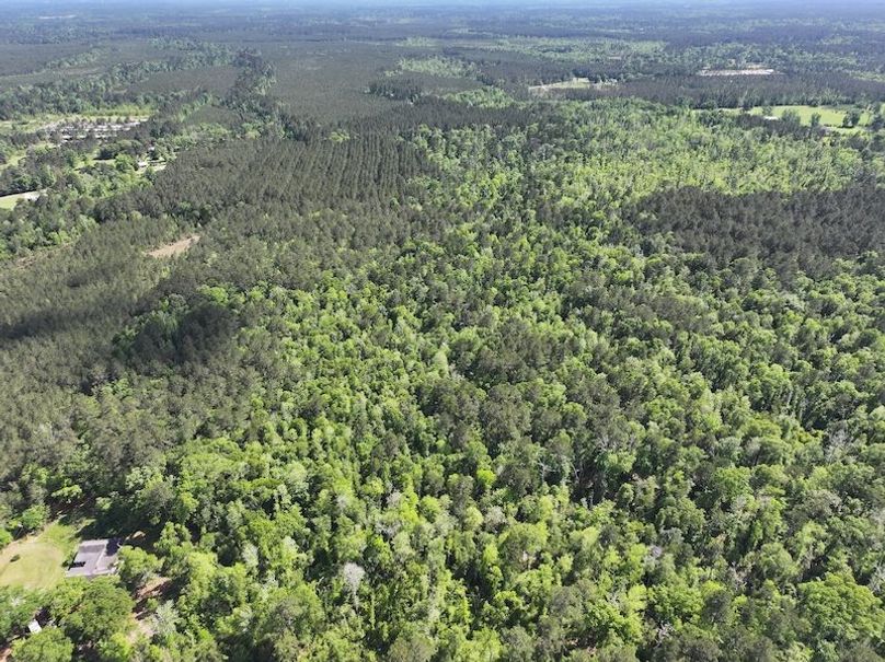 dji_fly_20260408_140950_0072_1776086820768_photo