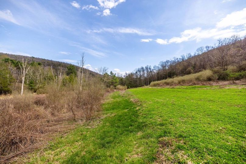 37-web-or-mls-IMG-37