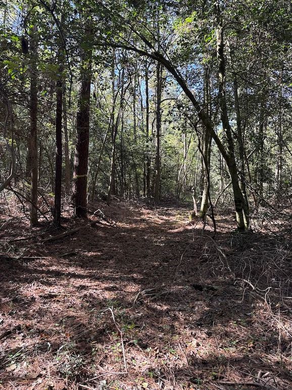 DJI_20251003_104628_347