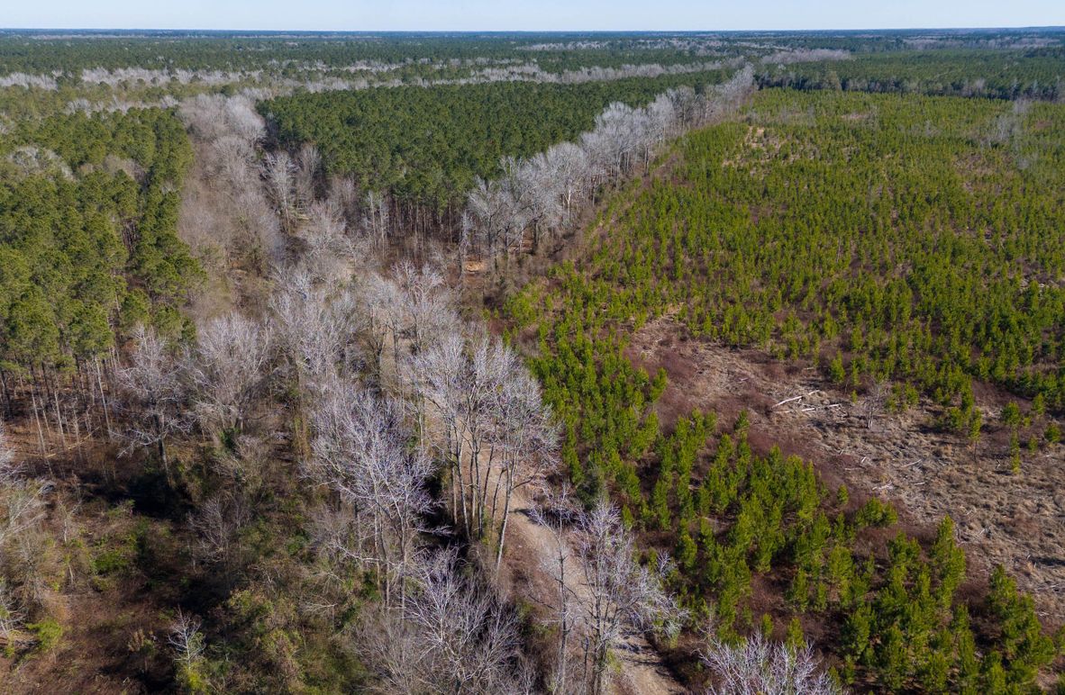 Pender NC 382 - Edits-6