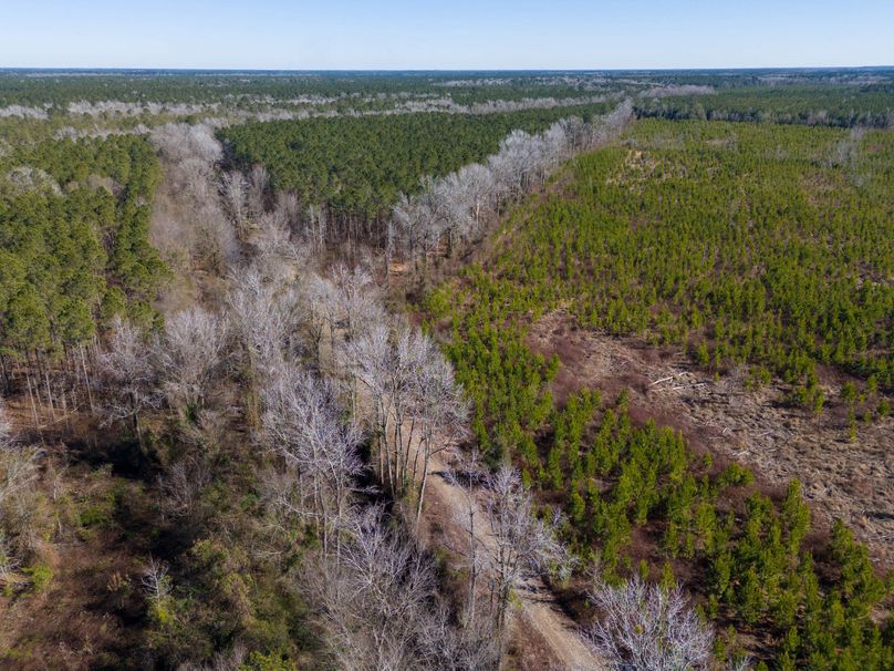 Pender NC 382 - Edits-6