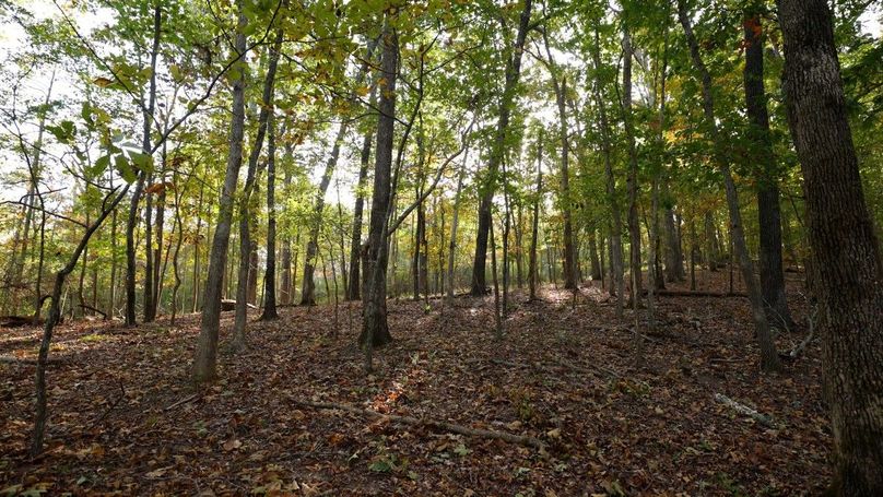 Sequence 07.00_01_14_22.Still137