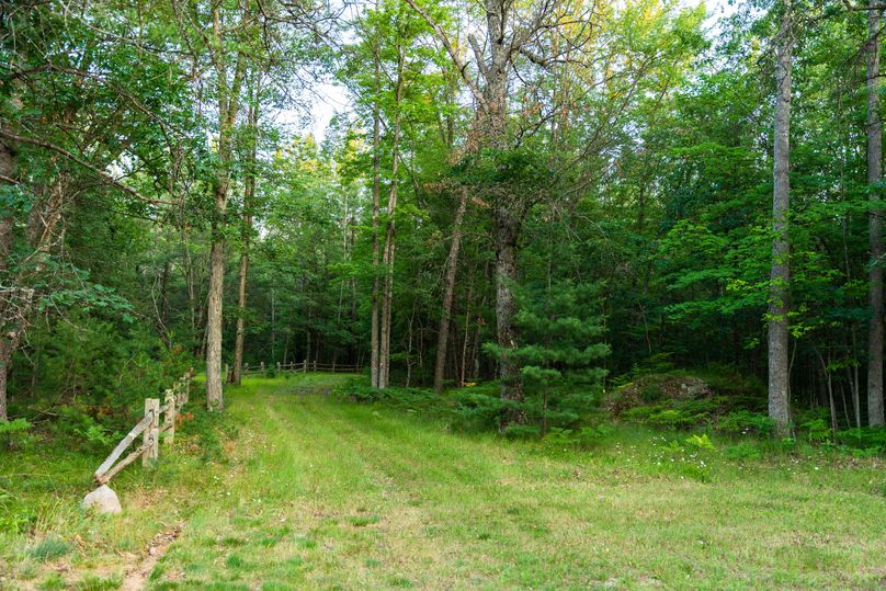 Ogemaw MI 475 Featured Pro Photo-742172