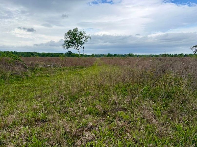 EF6170BF-C93A-4576-939A-0FE4FAAD451B_1_105_c