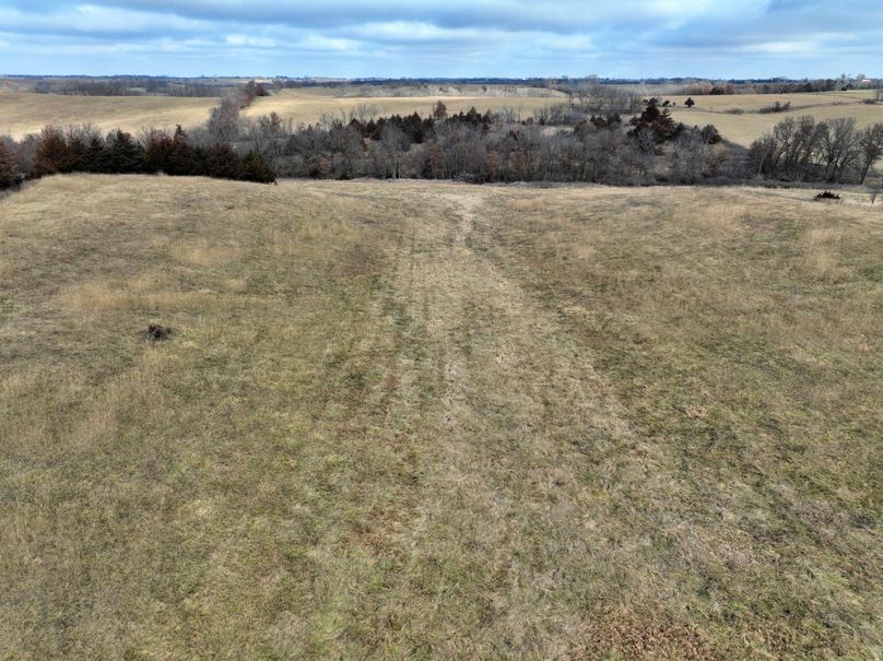 DJI_0868
