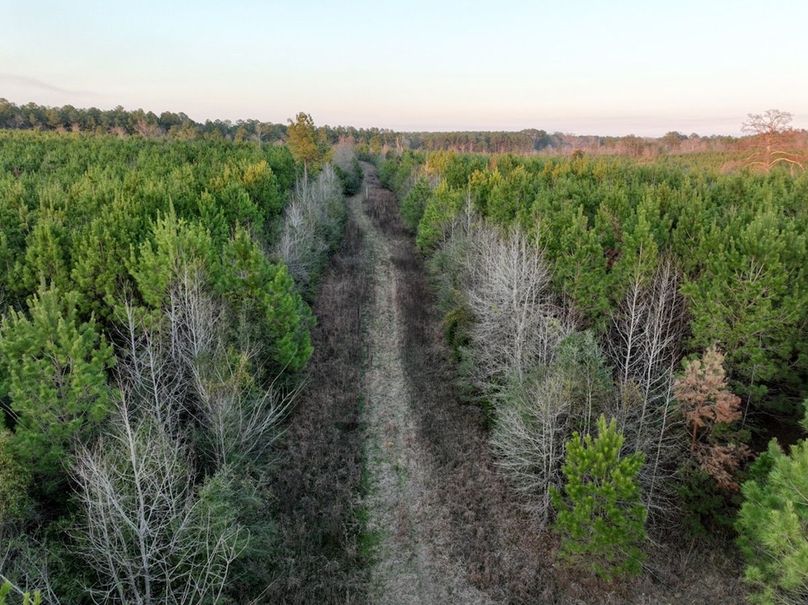 AD44C6AD-0FDE-4018-AAC5-1B8401BFEA26_1_105_c