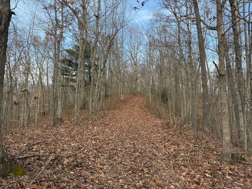 025 ridge line roads leading throughout the property