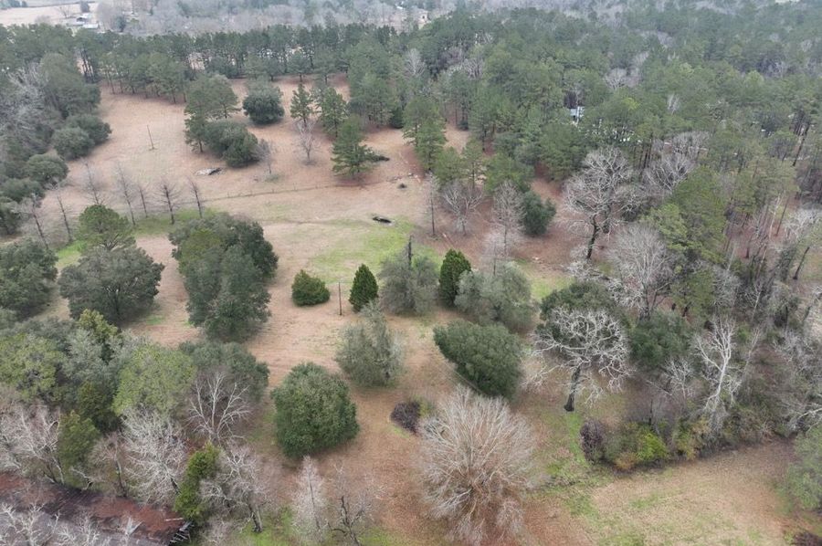 dji_fly_20250129_122942_860_1738192125106_photo