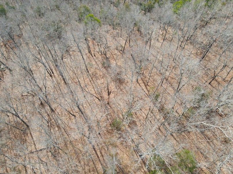 DJI_0639