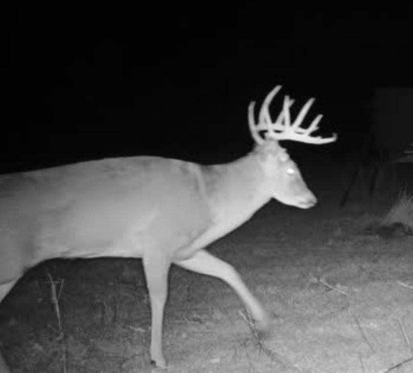 37