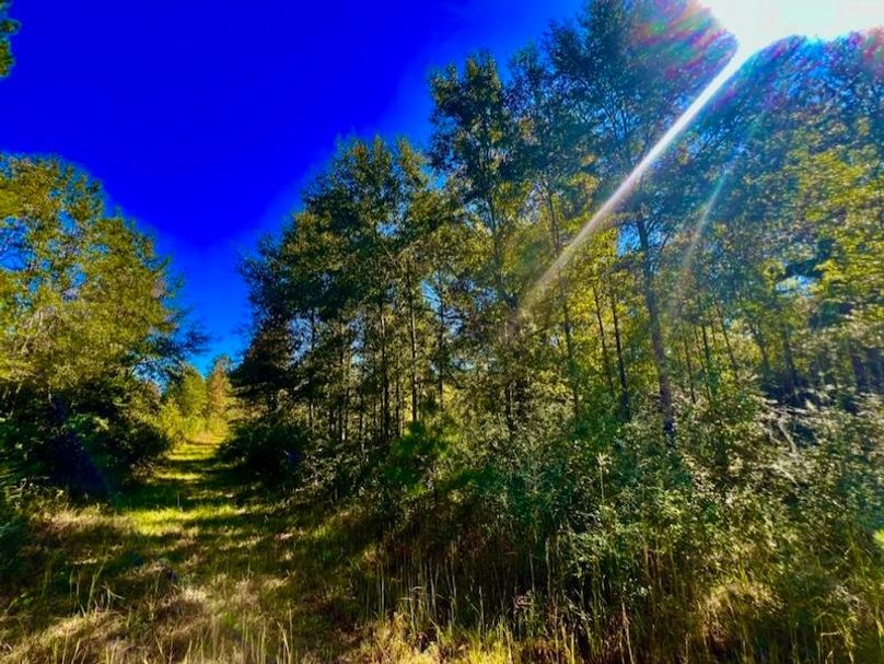 B822E779-CCDD-442C-8910-FD46289AEA80_1_105_c