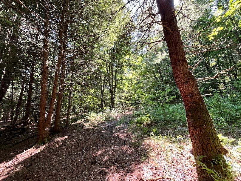 Oswego_24_Frank Photo 53