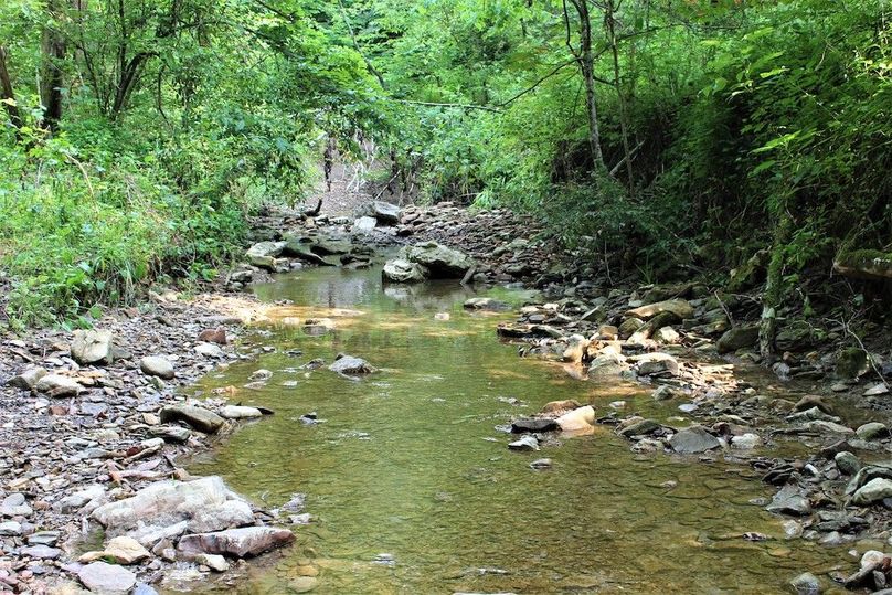 010 Long Branch creek nearing the more upper reaches toward the northwest area of the property