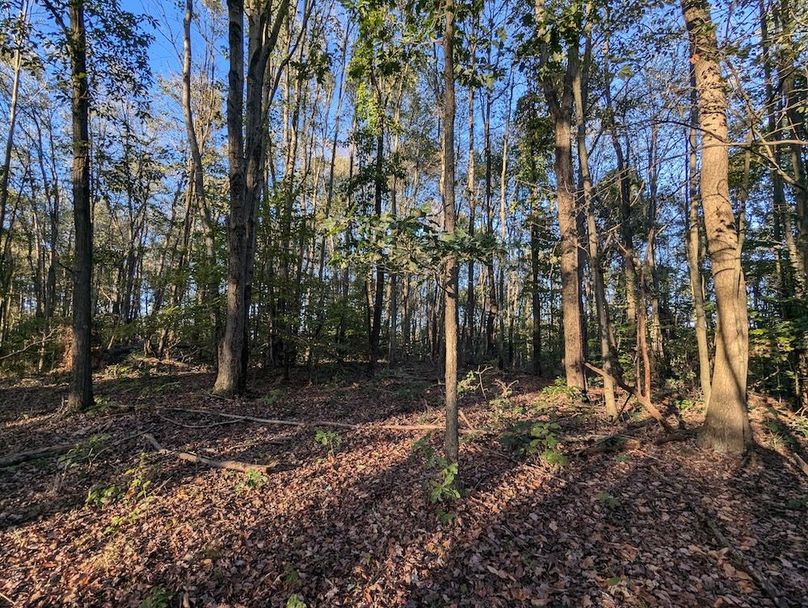 PXL_20251001_215927759