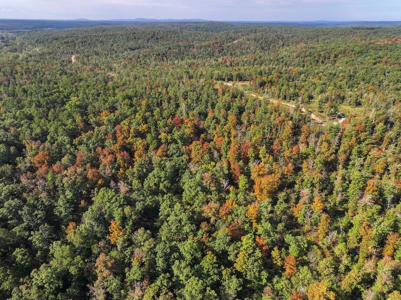 DJI_20250925100340_0697_D