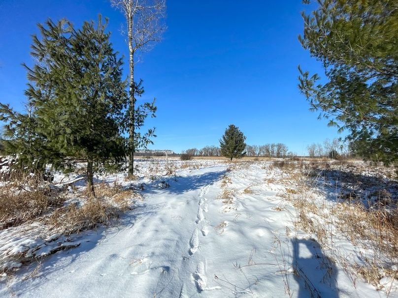 Juneau 105 Cantic -12