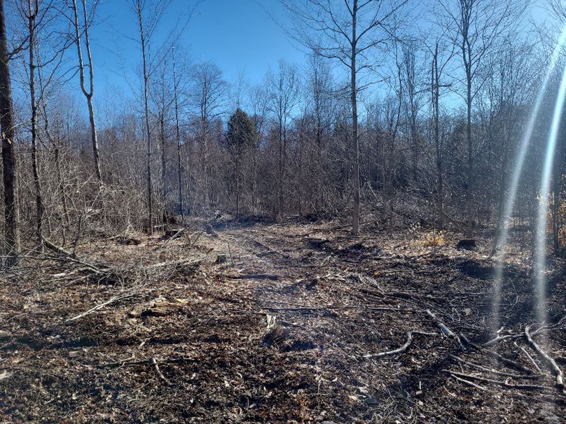 photo_508b2091-79a7-4fc5-b7b0-d0c2f73988b4