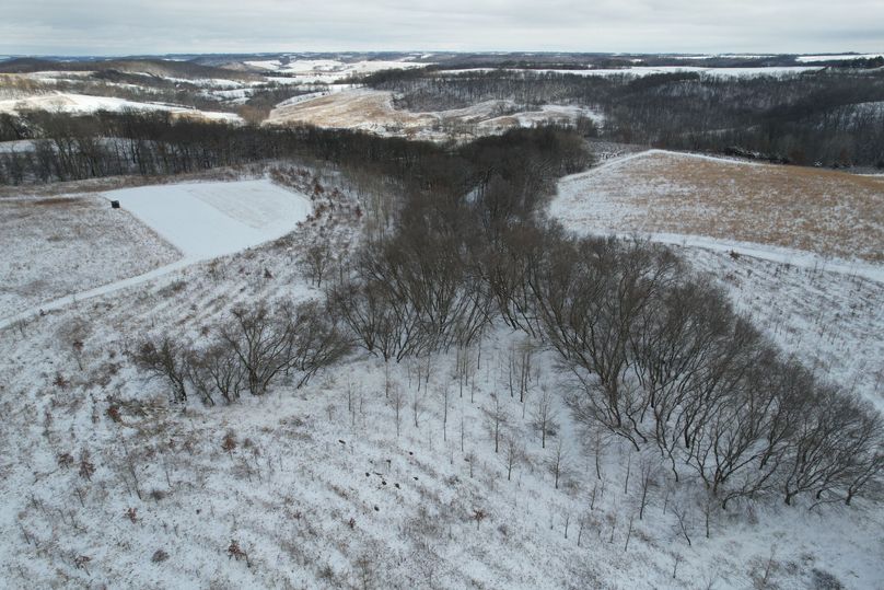 DJI_0761
