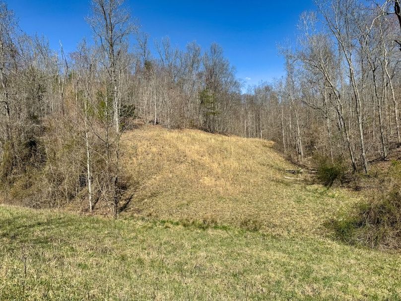 043 endless beautiful fields