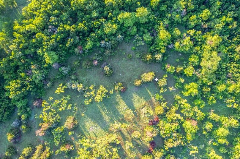 Hunt County- 171 acres-50