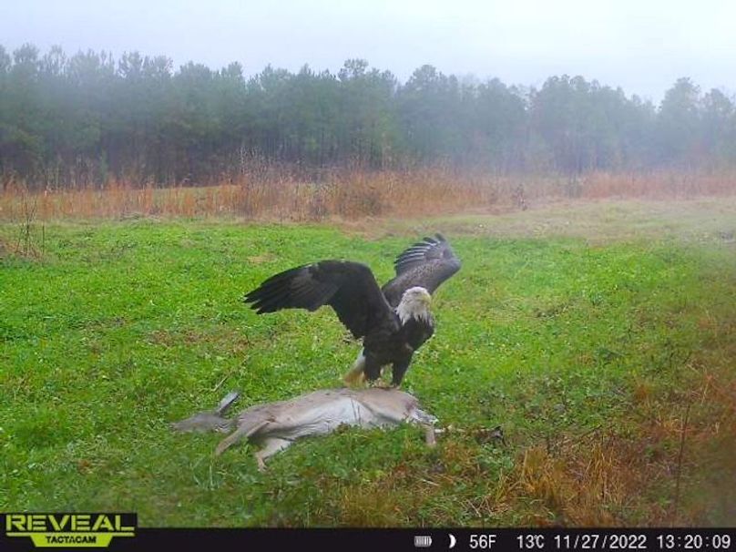 862515041535786-90-5-11272022132010-W1001324