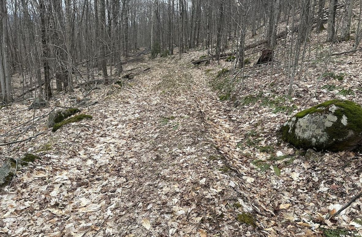 Photo Apr 22 2025, 1 08 29 PM