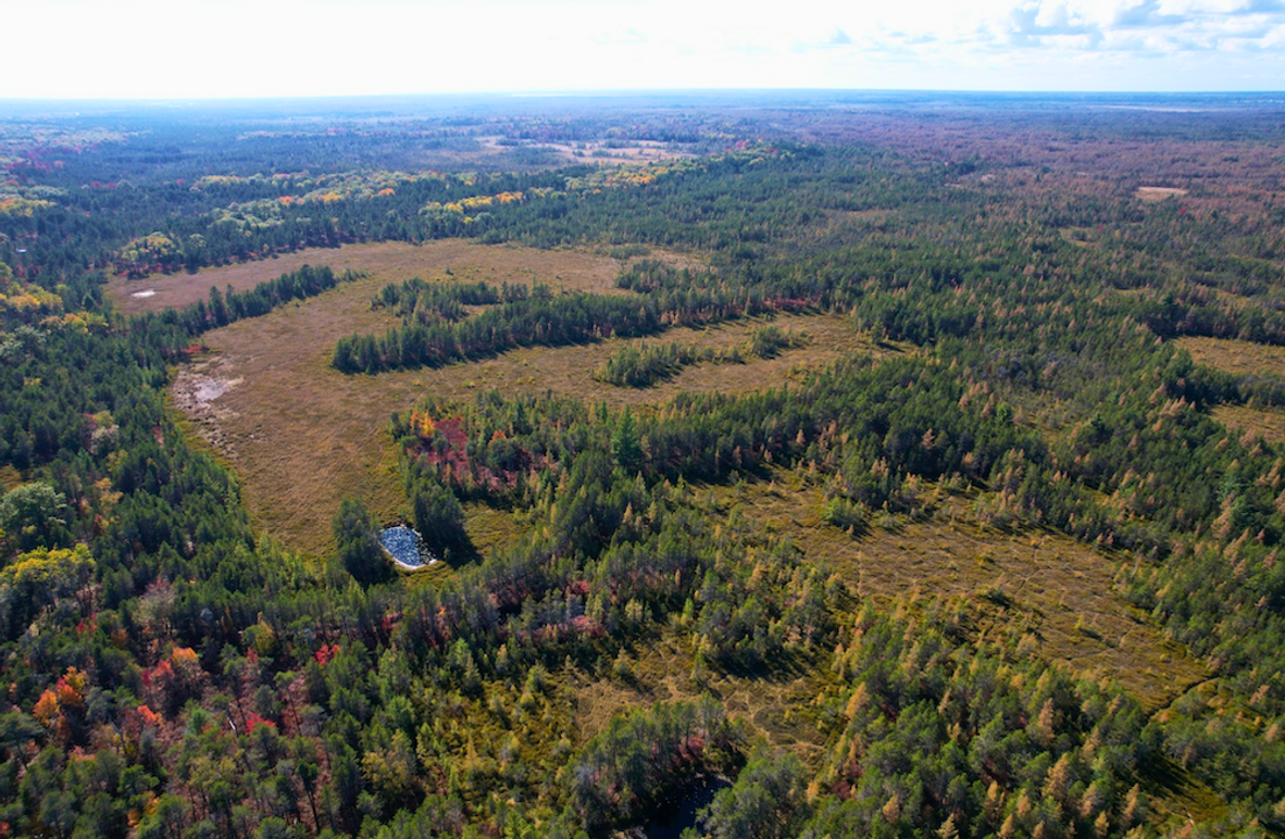 Screenshot 2025-11-13 at 2.12.48 PM