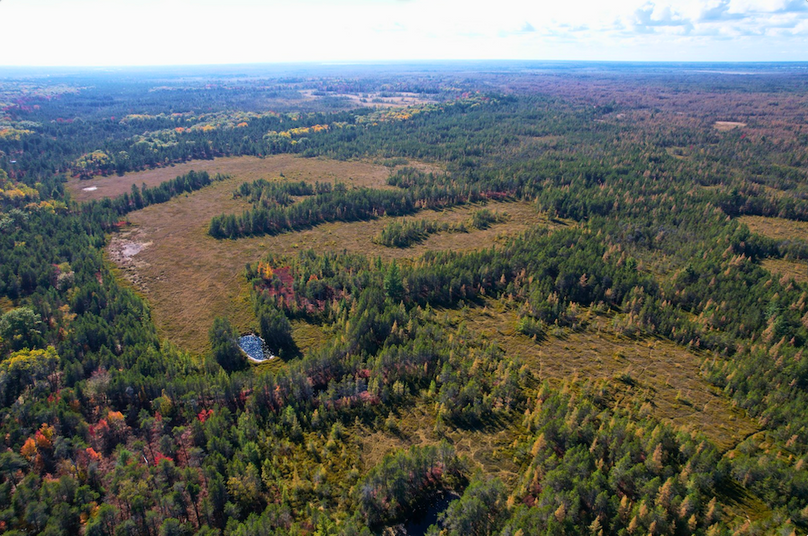 Screenshot 2025-11-13 at 2.12.48 PM