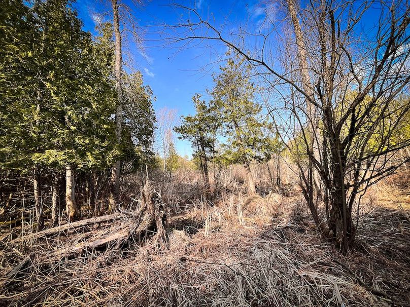 StLawrence_142.7_Bosse_Photos_54