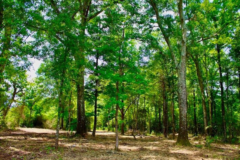 790359F7-76E9-49A4-A14E-DA69E7B5A5BD_1_105_c