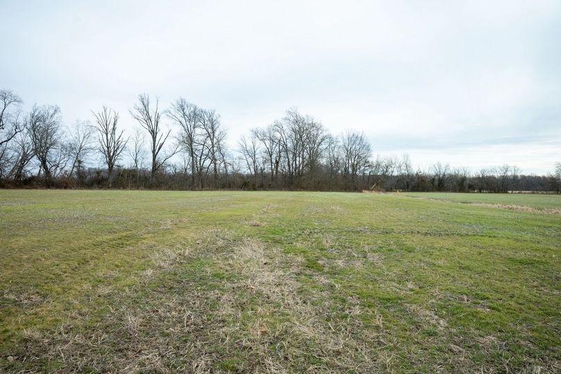 Copy of DSC00773 Large