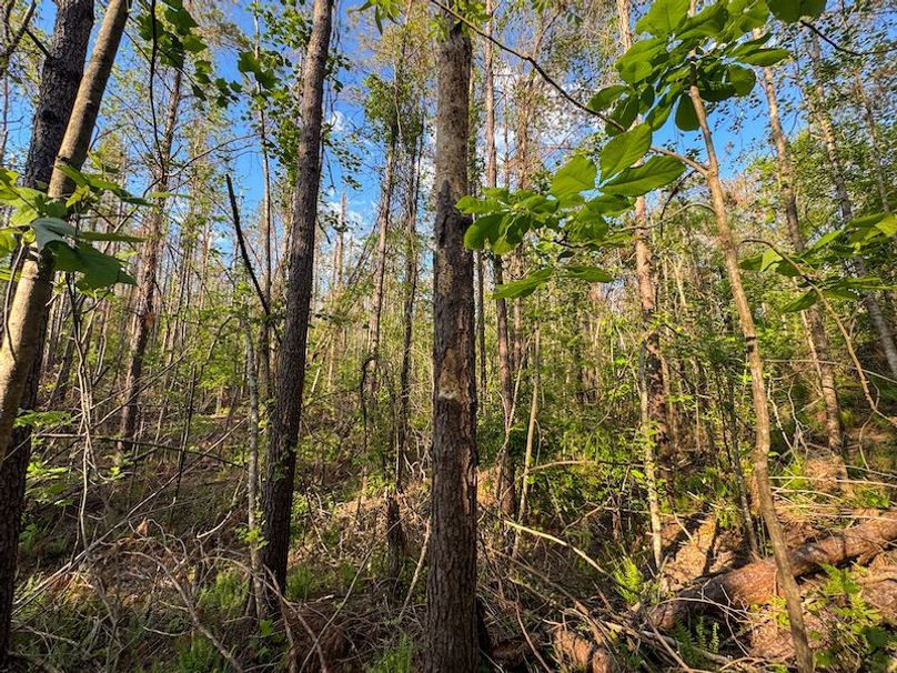 Tallahatchie 44 Newman (Crowden) Wide-31