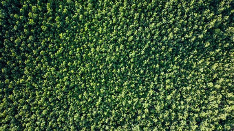 DJI_20250620054612_0008_D