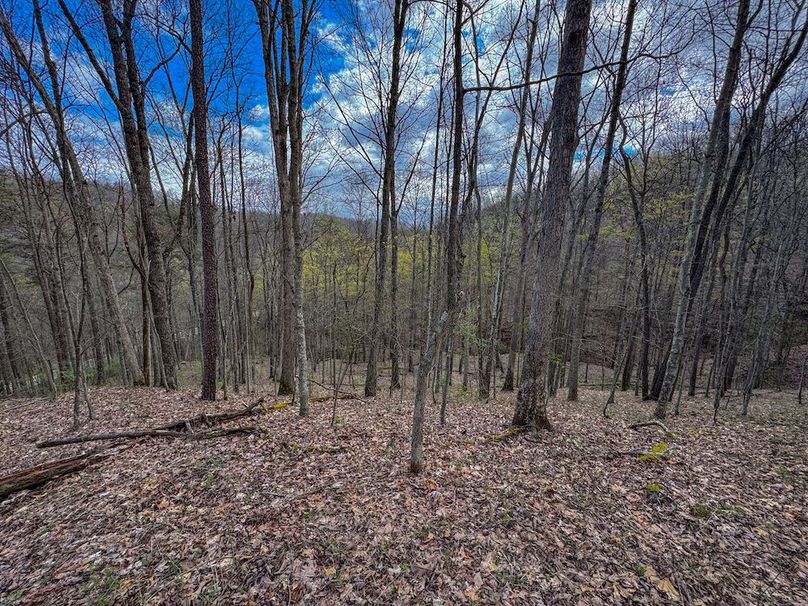 Wirt, WV 62.5 AC Full-17
