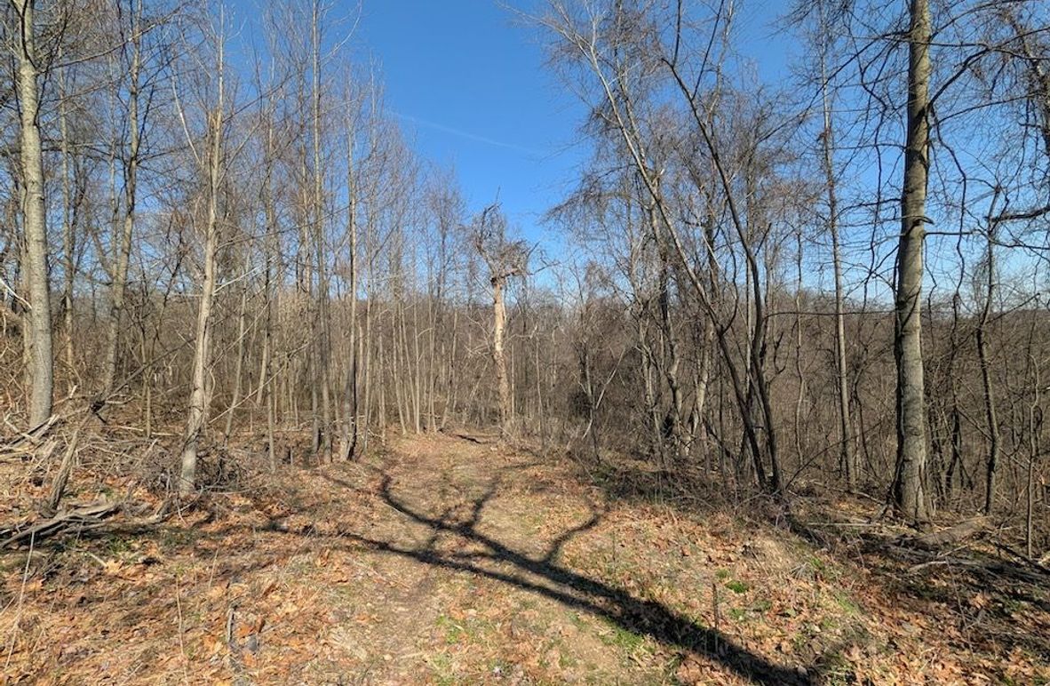 PXL_20260326_164609060.MP