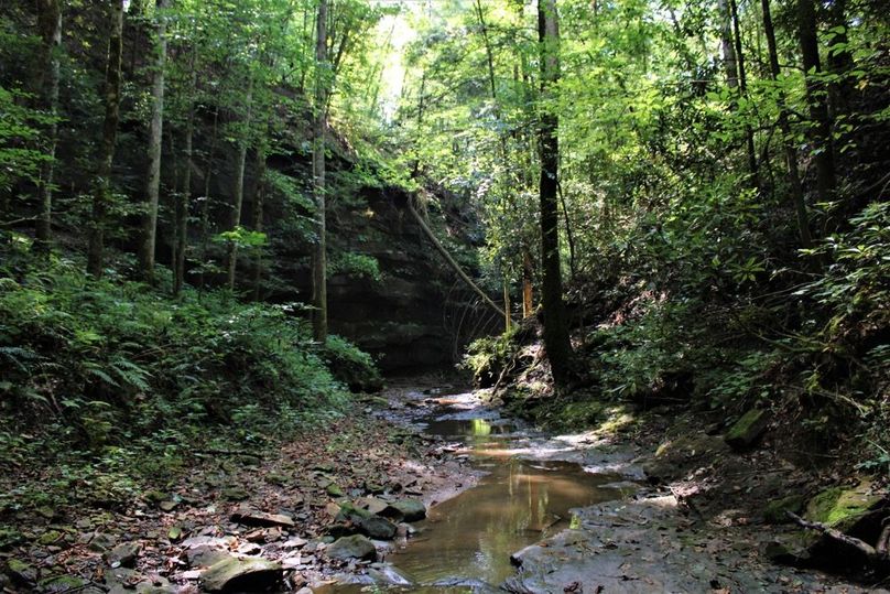 015 tremendous rock cliffs and features along the Little Rock Lick Creek