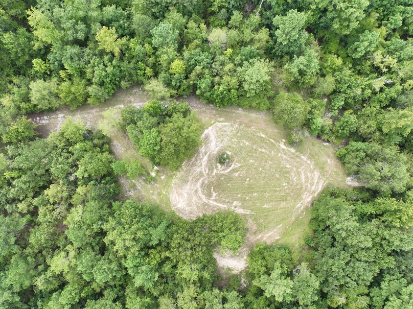 dji_fly_20230727_170428_399_1690507684815_photo 3