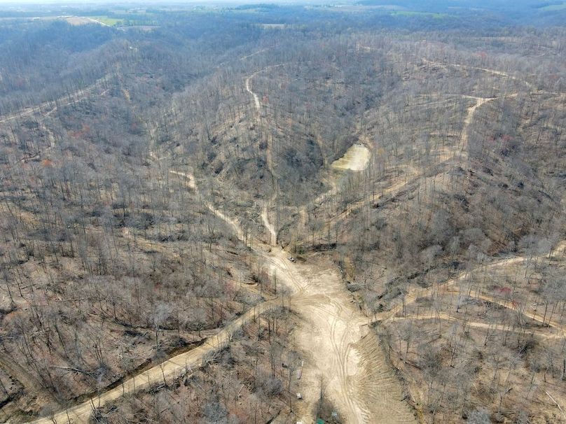 dji_fly_20240329_125124_558_1711731098072_photo